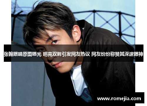 张翰眼睛原图曝光 明亮双眸引发网友热议 网友纷纷称赞其深邃眼神